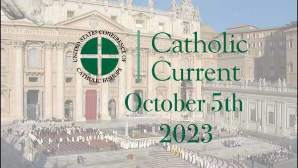 Catholic Current - This Week’s Catholic Current: 21 New Cardinals, Laudate Deum, Carlo Acutis, and the Synod